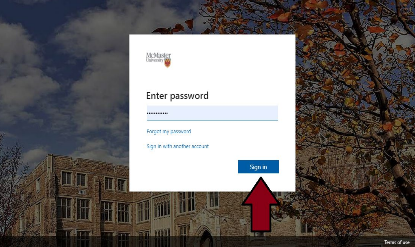 Microsoft Account Information - password interface